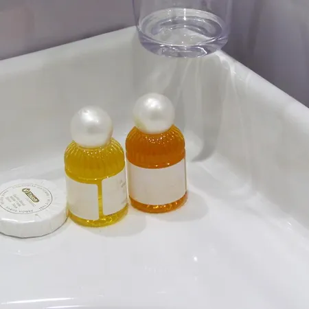 Lägenhet Latere Vatican Loft Rom